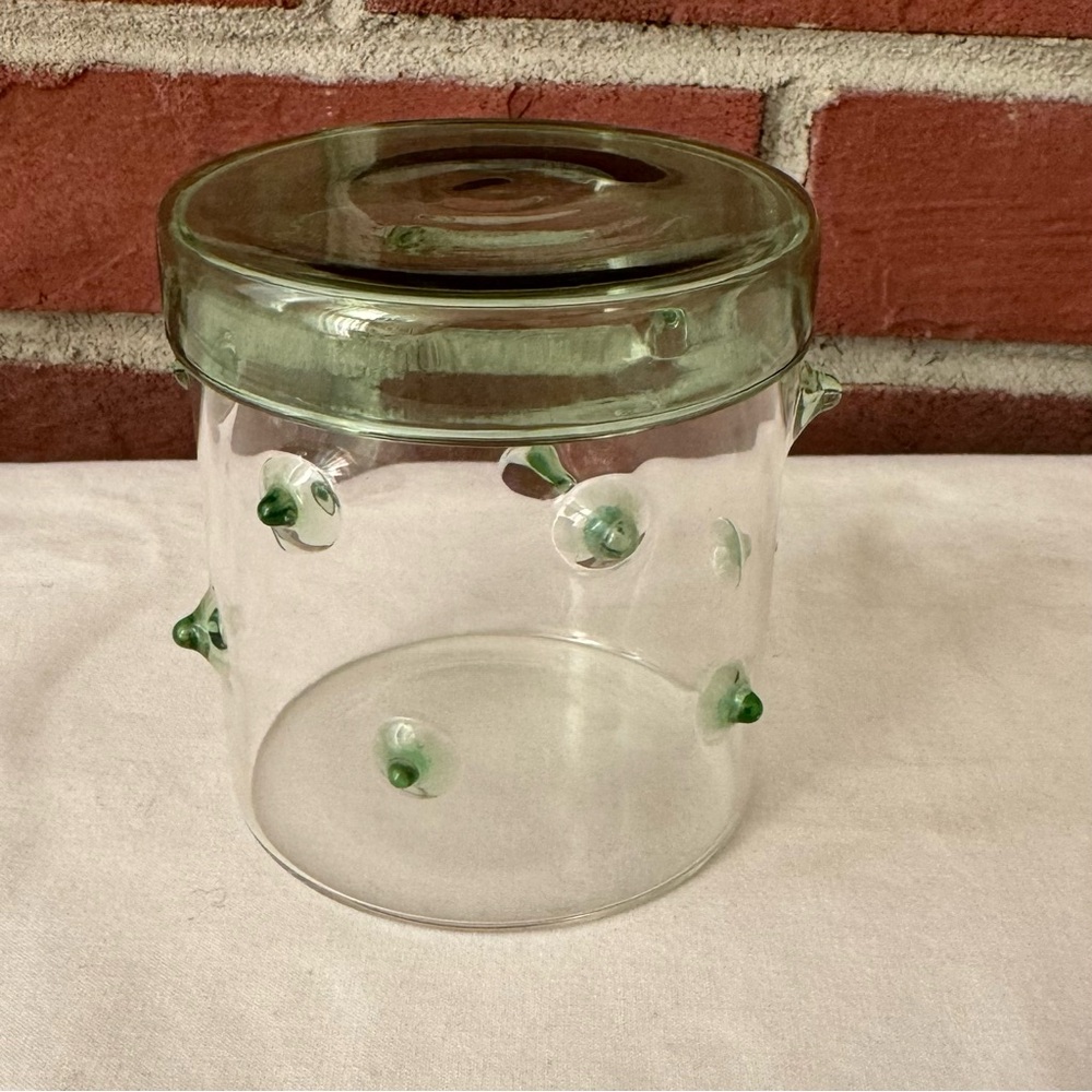 •Agave Handmade Borosilicate Glass Container NWOT